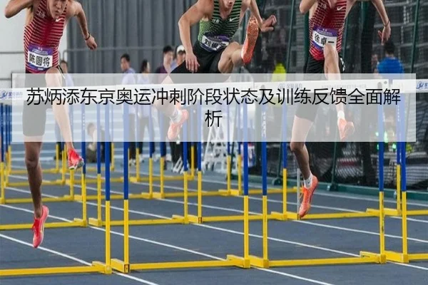 苏炳添东京奥运冲刺阶段状态及训练反馈全面解析（KAIYUAN SPORTS）